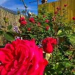 Hébergement de vacances златкова къща