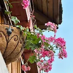 златкова къща * Koprivchtitsa