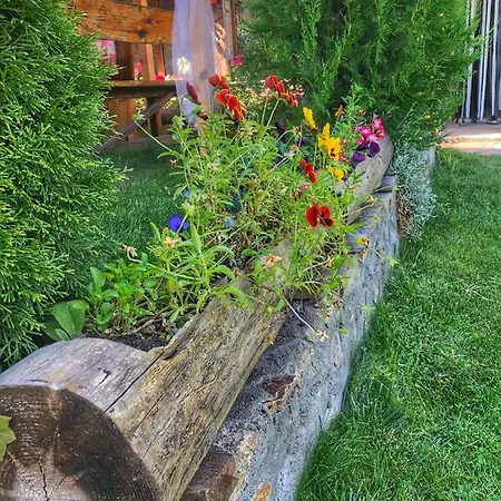 златкова къща Prázdninový dům Koprivštica