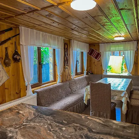 златкова къща 別荘 コプリフシティツァ