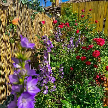 златкова къща * Koprivštica