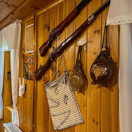 златкова къща * コプリフシティツァ