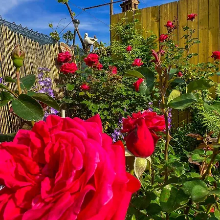 Prázdninový dům златкова къща