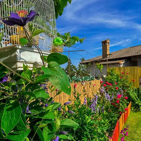 златкова къща