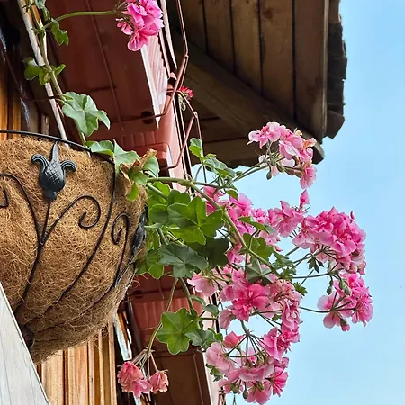 златкова къща * Копривштица