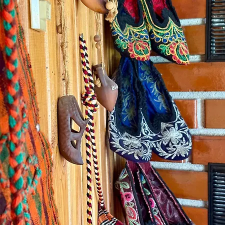 златкова къща Koprivstica