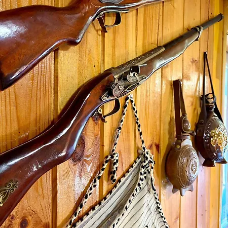 златкова къща Koprivštica