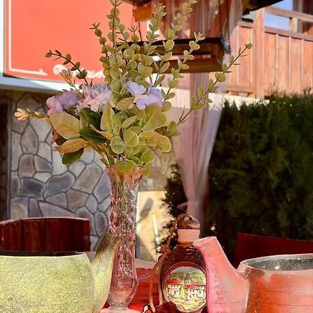 златкова къща * Koprivstica