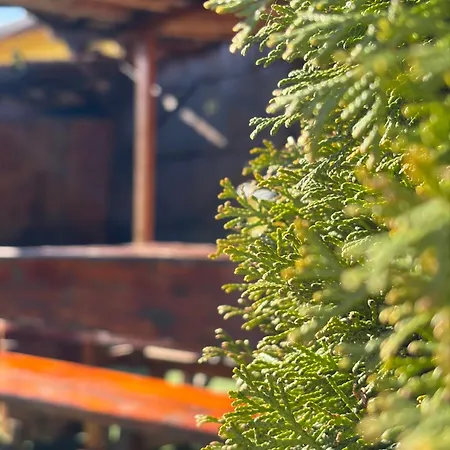 Nyaraló златкова къща