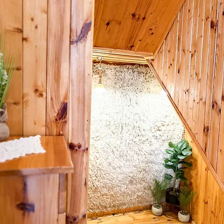 златкова къща Maison d'hôtes 4*