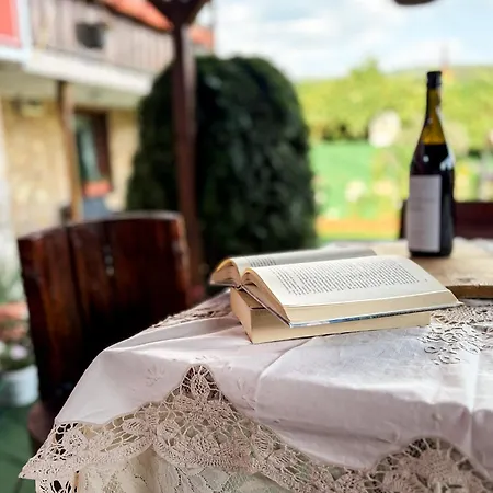 Maison d'hôtes златкова къща