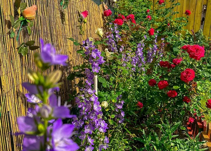 златкова къща * Koprivchtitsa