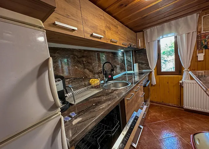 златкова къща Hébergement de vacances