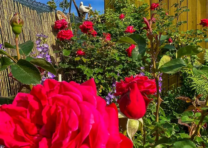 Hébergement de vacances златкова къща