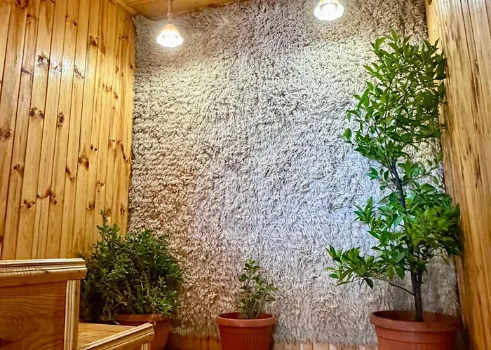 златкова къща * Koprivchtitsa