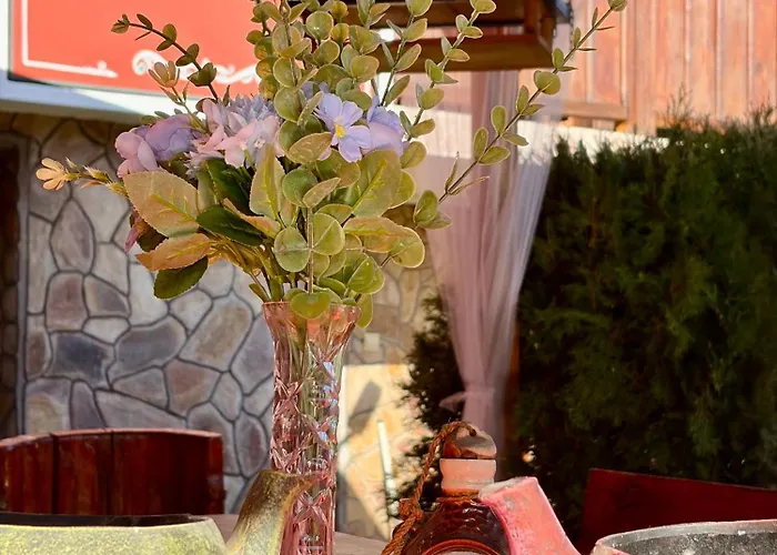 златкова къща * Koprivchtitsa