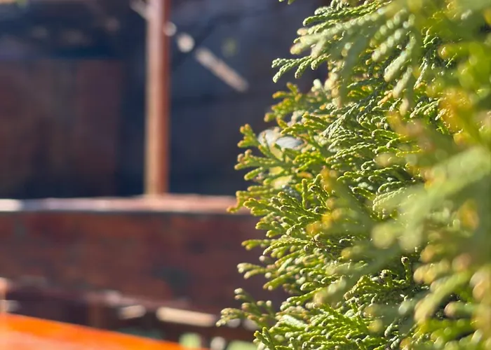 Hébergement de vacances златкова къща